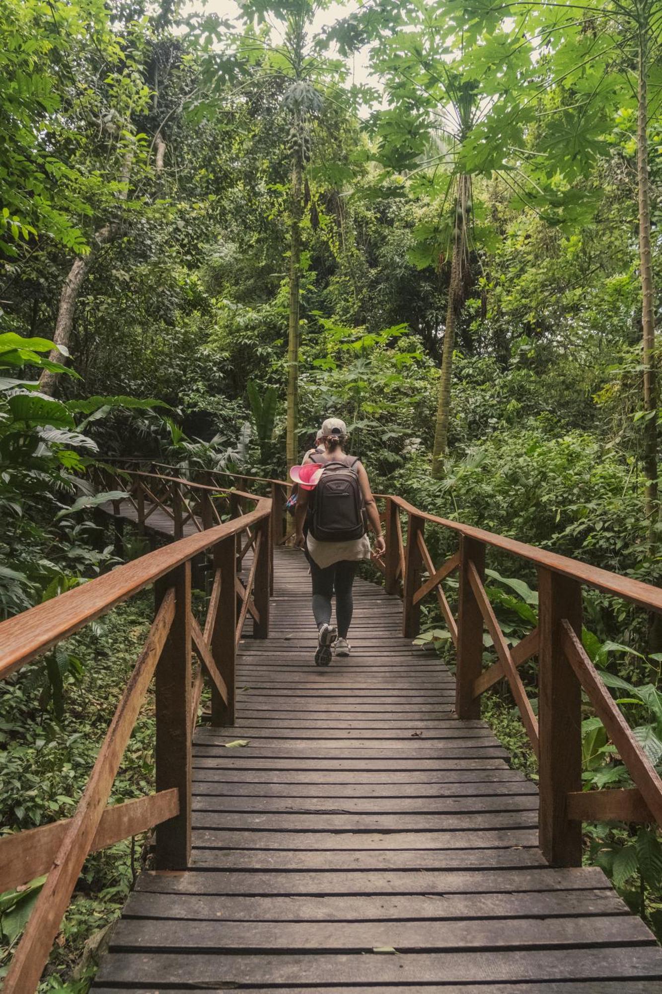 Ecohotel Yachay Tayrona Dentro Del Parque Tayrona El Zaino Dış mekan fotoğraf