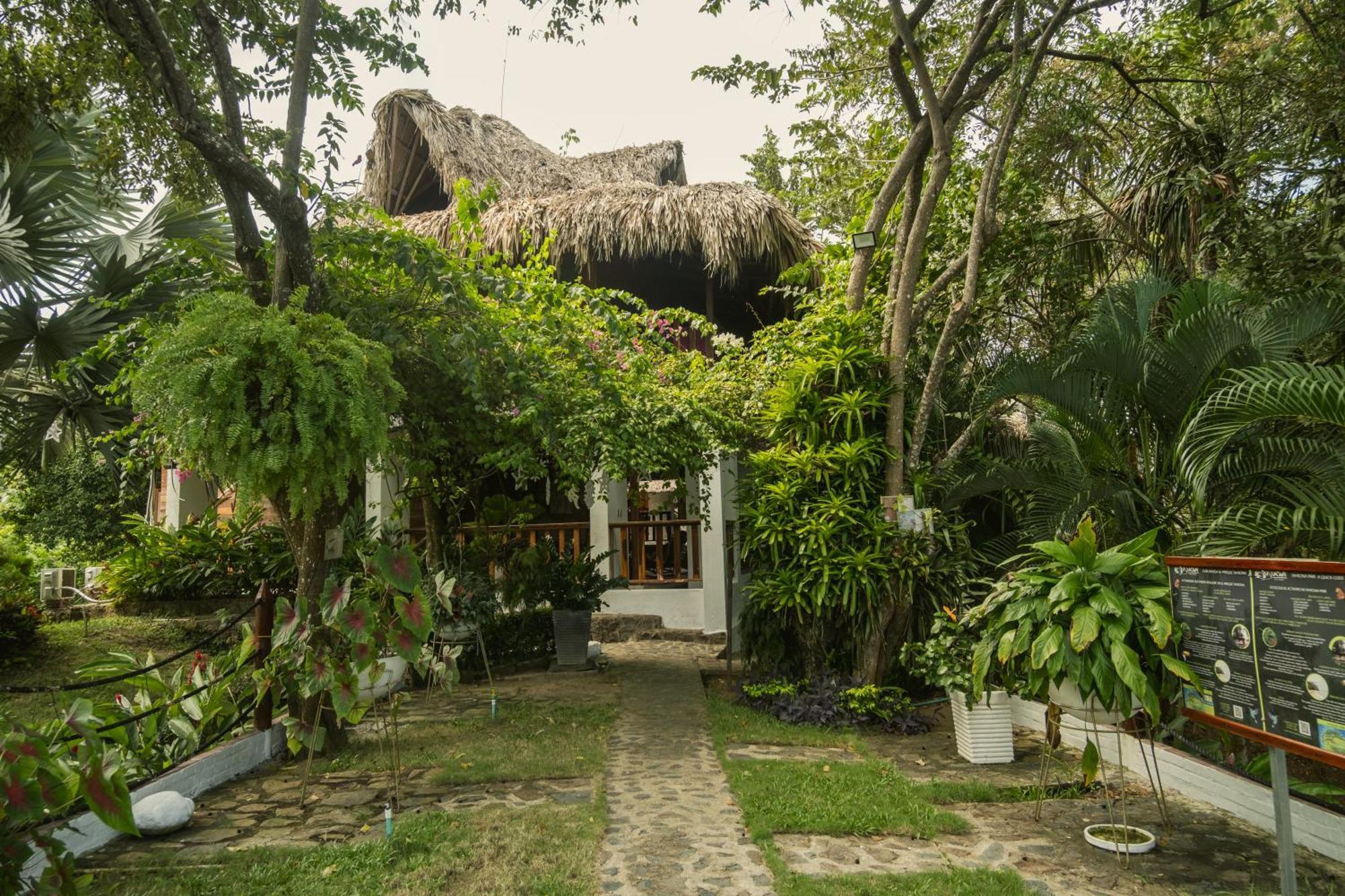Ecohotel Yachay Tayrona Dentro Del Parque Tayrona El Zaino Dış mekan fotoğraf